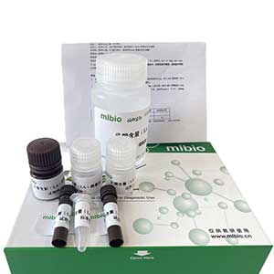 柠檬酸(CA)含量测试盒/微量法主图